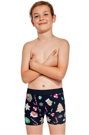 БОКСЕРКИ KIDS 701 СВЯТКОВІ