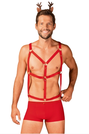 MR REINDY CHRISTMAS