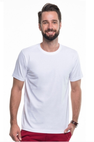T-SHIRT ЧОЛОВІЧИЙ PREMIUM 21185-20